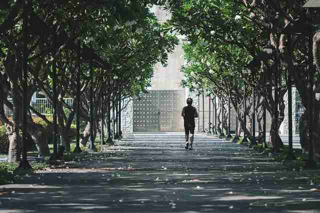 【长文】黑料正能量往期网络热梗：事件脉络绝密档案